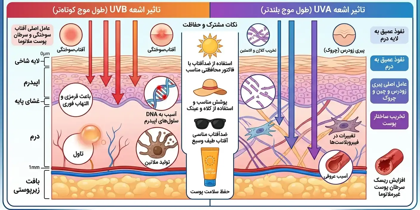 مقایسه تاثیر اشعه UVB وUVA